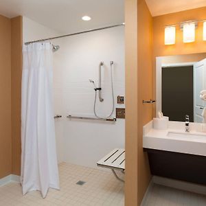 One-Bedroom Queen Suite Sofa Bed Mobility or Hearing Accessible Roll Shower